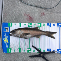 画像304