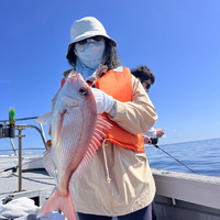 画像341