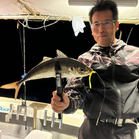 画像442