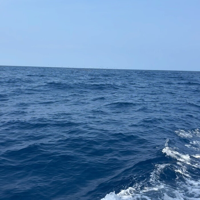 画像469