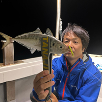 画像500