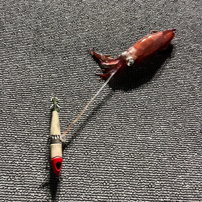 画像670