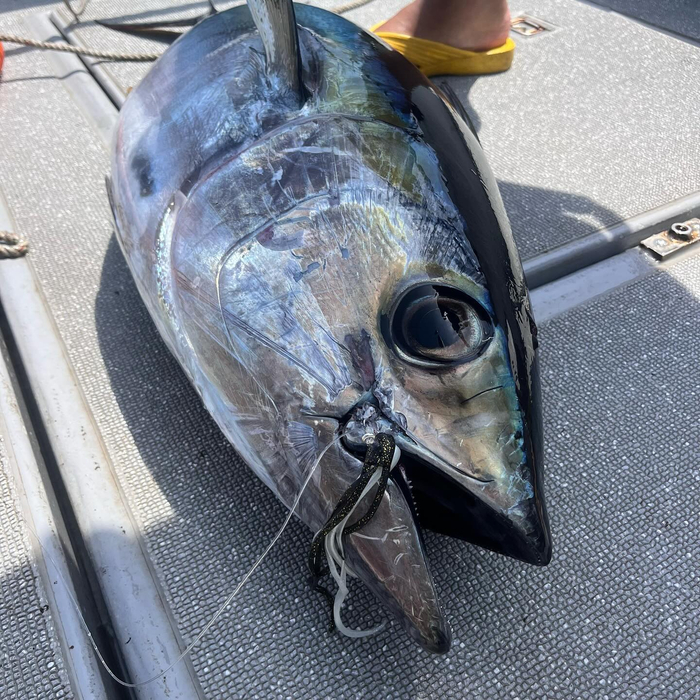 画像679